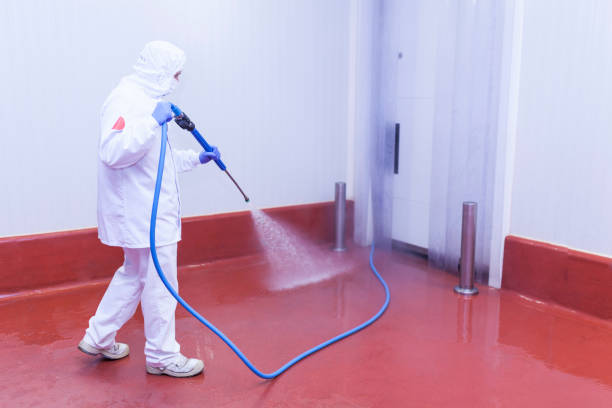 Best Building Exterior Washing  in Lovell, WY