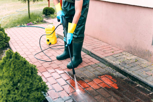 Best Roof Washing  in Lovell, WY