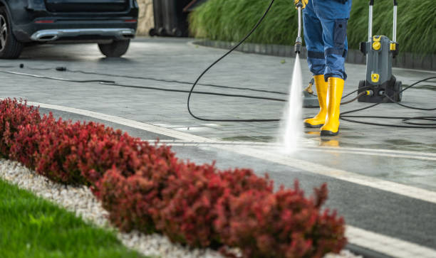 Best House Exterior Washing  in Lovell, WY